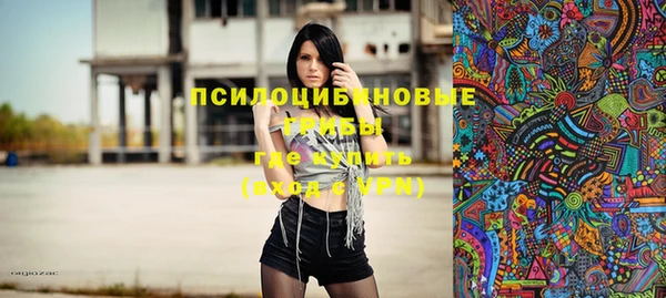 молекула духа Балахна